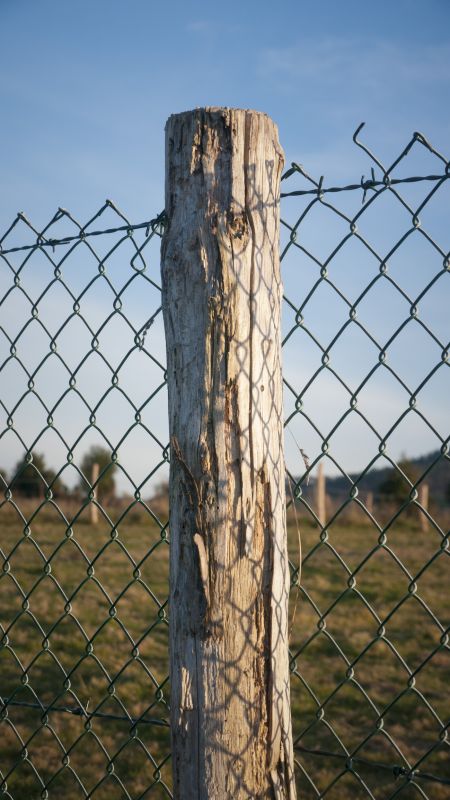 Damaged Wooden Gate